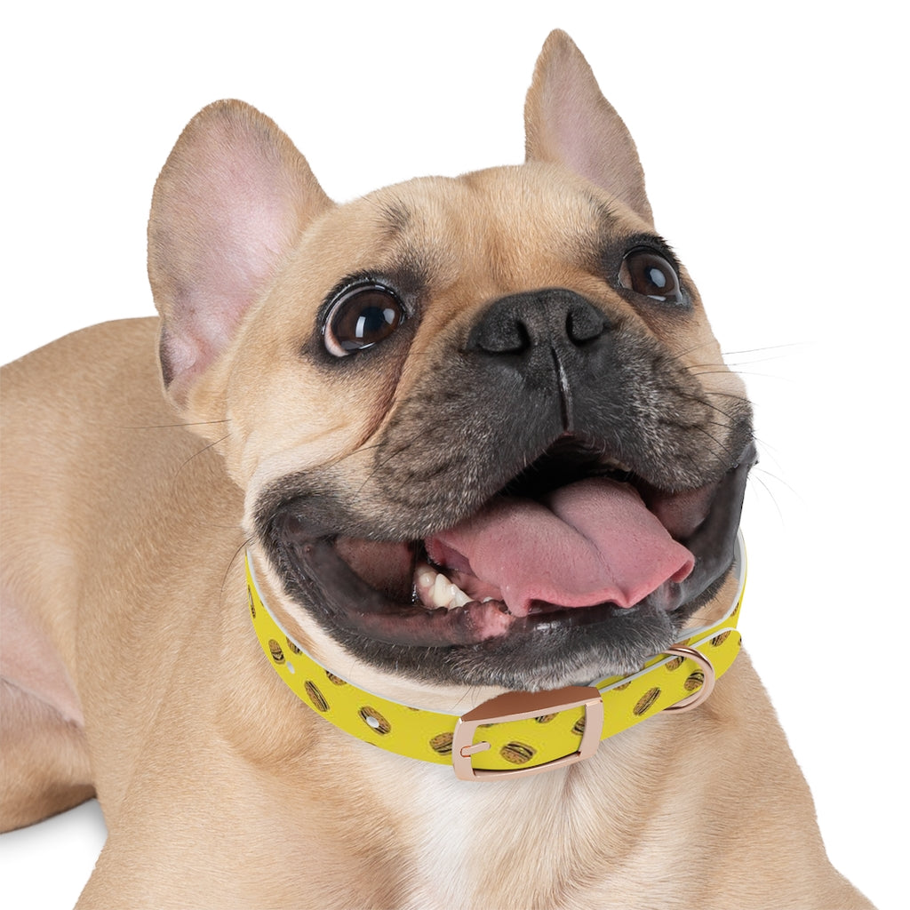 Bobs for dogs clearance collar